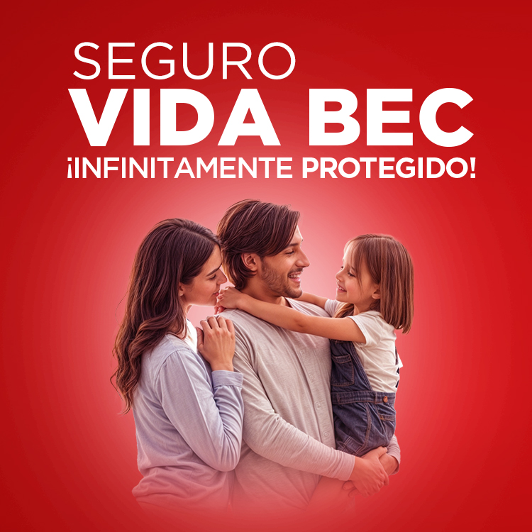 Seguros