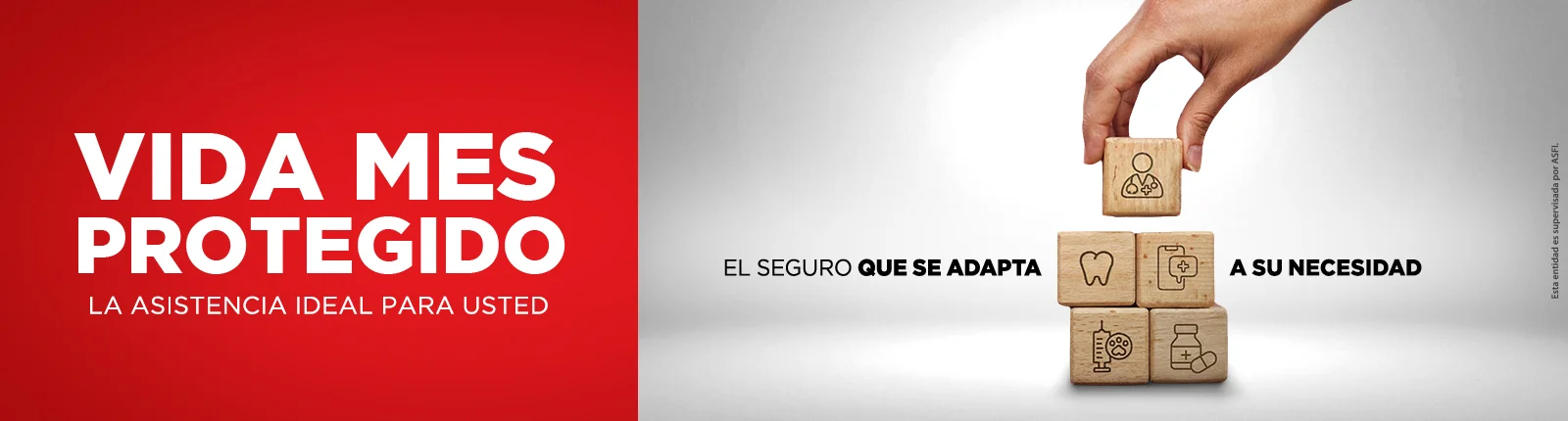 Seguro Vida Mes Protegido