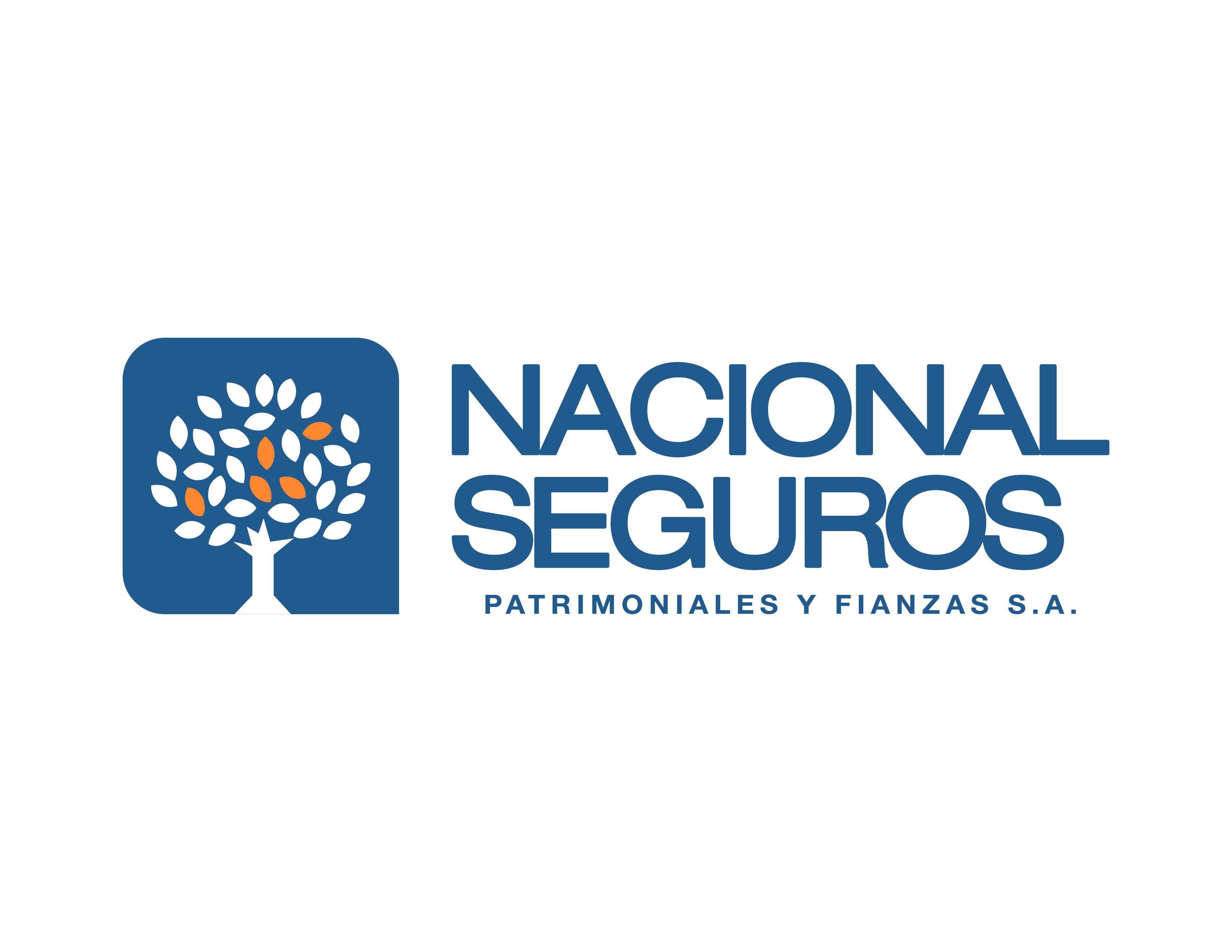 Nacional Seguros S.A.